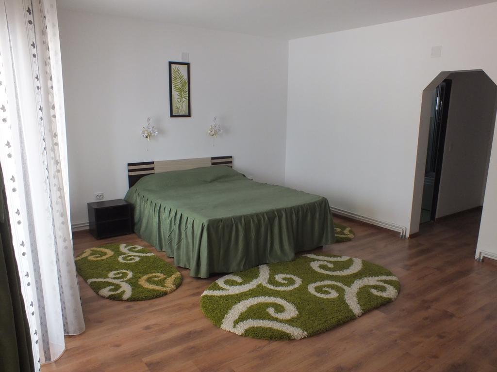 Hotel Pensiunea Eliza Podu Cosnii Zimmer foto